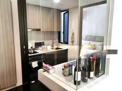 Botanique At Bartley (D19), Condominium #503185201